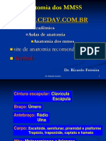 Anat Mmss Nov 2018