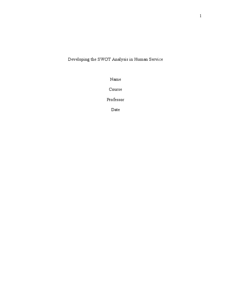 SWOT Analysis for NYC Human Services | PDF | Swot Analysis | Economies