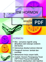 Sistem Hormon Manusia