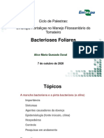 Palestra 6 - Bacterioses Foliares