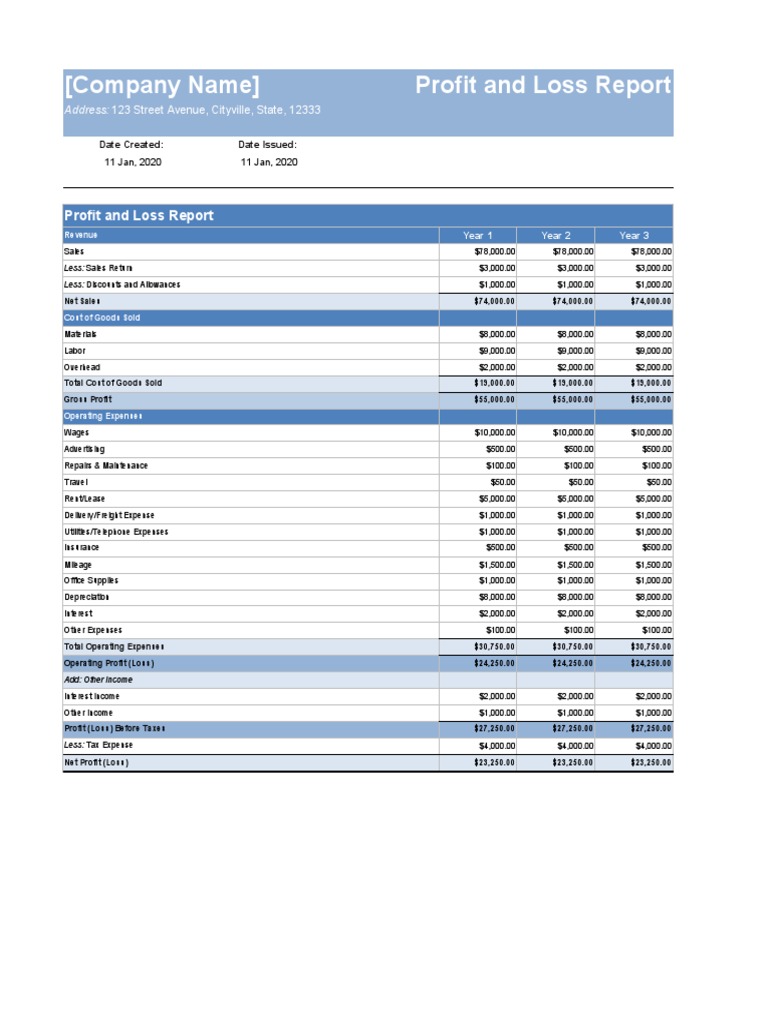 Company Profit and Loss Overview | PDF | Net Income | Cost Of Goods Sold