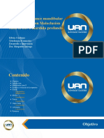 Aparatos de Avance Mandibular Corrección 3