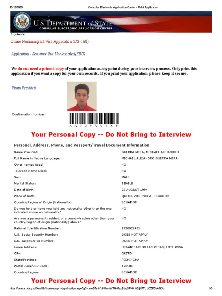 Consular Electronic Application Overview | PDF | Travel Visa | United ...