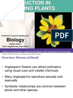 CH 38 PPT Angiosperm Reproduction