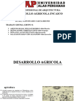 Desarrollo Agricola Incaico