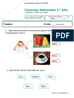 1° Ciencias Evaluación Los sentidos