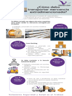 Protocolo de Seguridad Trasporte de Mercancia Extradimensionada