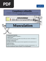 Projet de Cycle Musculation 1ère Lycée Technologique (STG, STI,... )