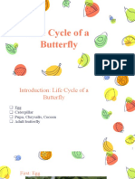Life Cycle of A Butterfly 3