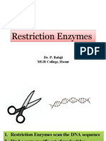 Restriction Enzymes Restriction Enzymes: Dr. P. Balaji MGR College, Hosur