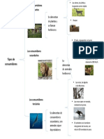 Tipos de Consumidores