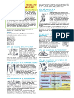 TEMA. Importancia de Los Sacramentos