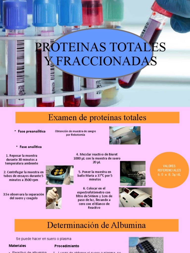 Proteinas Totales y Fraccionadas | PDF