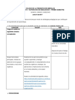 A. PLAN DE APOYO Quimica Undecimo