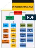 Clasificacion de Patrones de Manchas de Sangre - Cuadro Conceptual