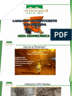 Lanzado Con Shotcrete - AGD