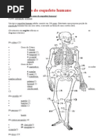 Lista de ossos do esqueleto humano documento