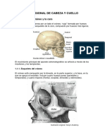 Anatomia Regional de Cabeza y Cuello 1.1
