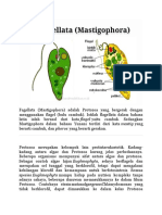 Protozoa Flagellata dan Peranannya