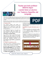 Pautas para Los Docentes TEL