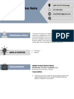 Curriculum - Vitae - Format Jose Luis Ramirez