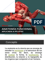 Anatomía Funcional