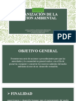 Organización de La Gestion Ambiental