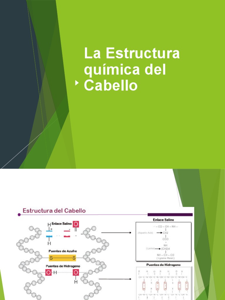 Composición Química del Cabello | PDF | Aminoácidos | Ácido