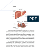 Anatomi Fisiologi Organ Hati Dan Penyakit Hepatitis