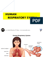 Respiratory System - DR Rohit Bhaskar