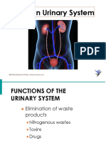 Urinary System - DR Rohit Bhaskar