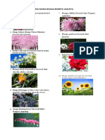 Nama Nama Bunga Dan Asalnya