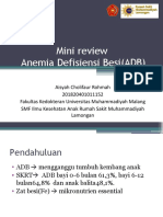 Anemia Defisiensi Besi