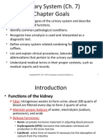 Urinary Ppt. TEACHER