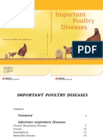 Important Poultry Diseases 