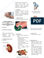 Leaflet Gout Arthritis