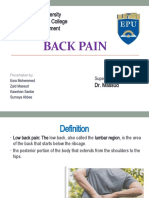 Back Pain: Erbil Polytechnic University Erbil Health Technical College Physiotherapy Department