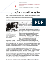 Adaptacao-e-equilibracao PIAGET