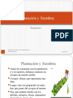 II Plantación y Siembra Replanteo