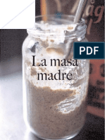 Masa Madre