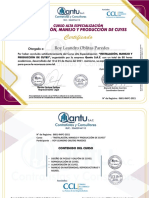Roy Leandro Oblitas Paredes Certificado