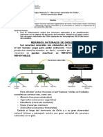 Guía Historia 5º 2 Recursos Naturales Chile