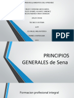 PRINCIPIOS GENERALES de Sena