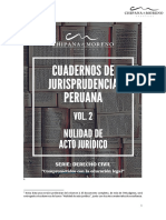 Cuadernos de Jurisprudencia. Vol. 2. Nulidad de Acto Jurídico (Vers. Prelim.)