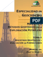 eBook Manual Del Participante Registros Geofisicos Preliminar