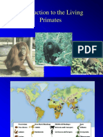 Ppt6 Intro To Living Primates Onlinecomp RevSP16