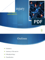 Nerve Injury: Alaa A. Alibrahim Medical Student 2013