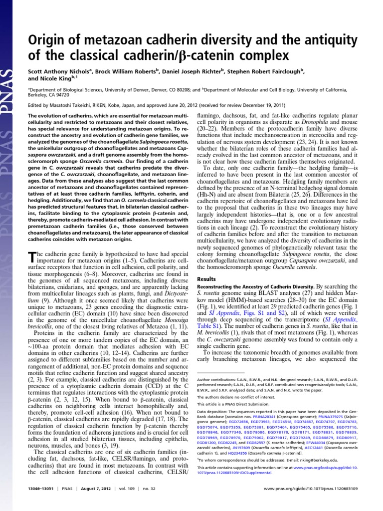 Origin of Metazoan Cadherin Diversity and The Antiquity Nichols y ...