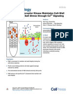 The FERONIA Receptor Kinase Maintains Cell-Wall Integrity During Salt Stress Through Ca Signaling
