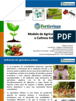 Agricultura Urbana - Cultivo Hidroponicos